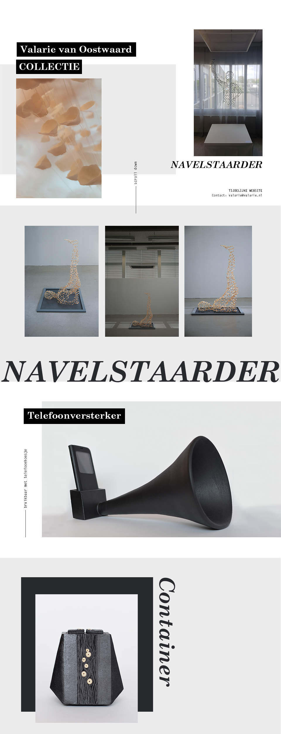 Website van Valarie van Oostwaard - deel 1